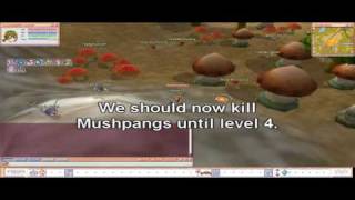 Flyff - A beginners guide to level 15