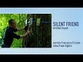Silent Friend di Ildikó Enyedi a Venezia 82 🎬