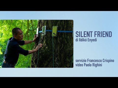 SILENT FRIEND di Ildikó Enyedi / Venezia 82 / Recensione