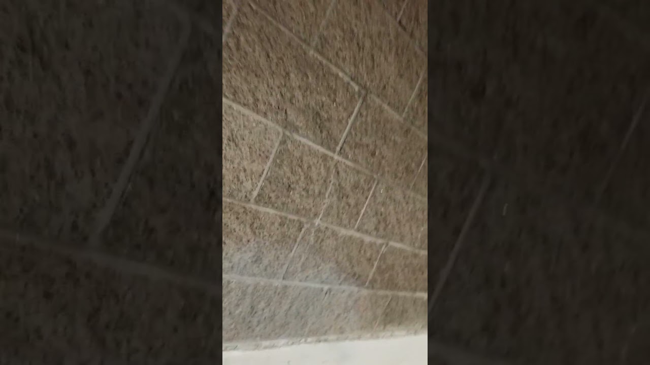 Justa dream -- happy ending .. Will Putin use nukes if .. Razputin praying