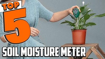 Best Soil Moisture Meter In 2025- Top 5 Soil Moisture Meters Review