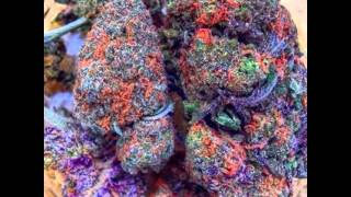311 Who's got the herb ?