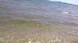 Odessa 2016 07/05