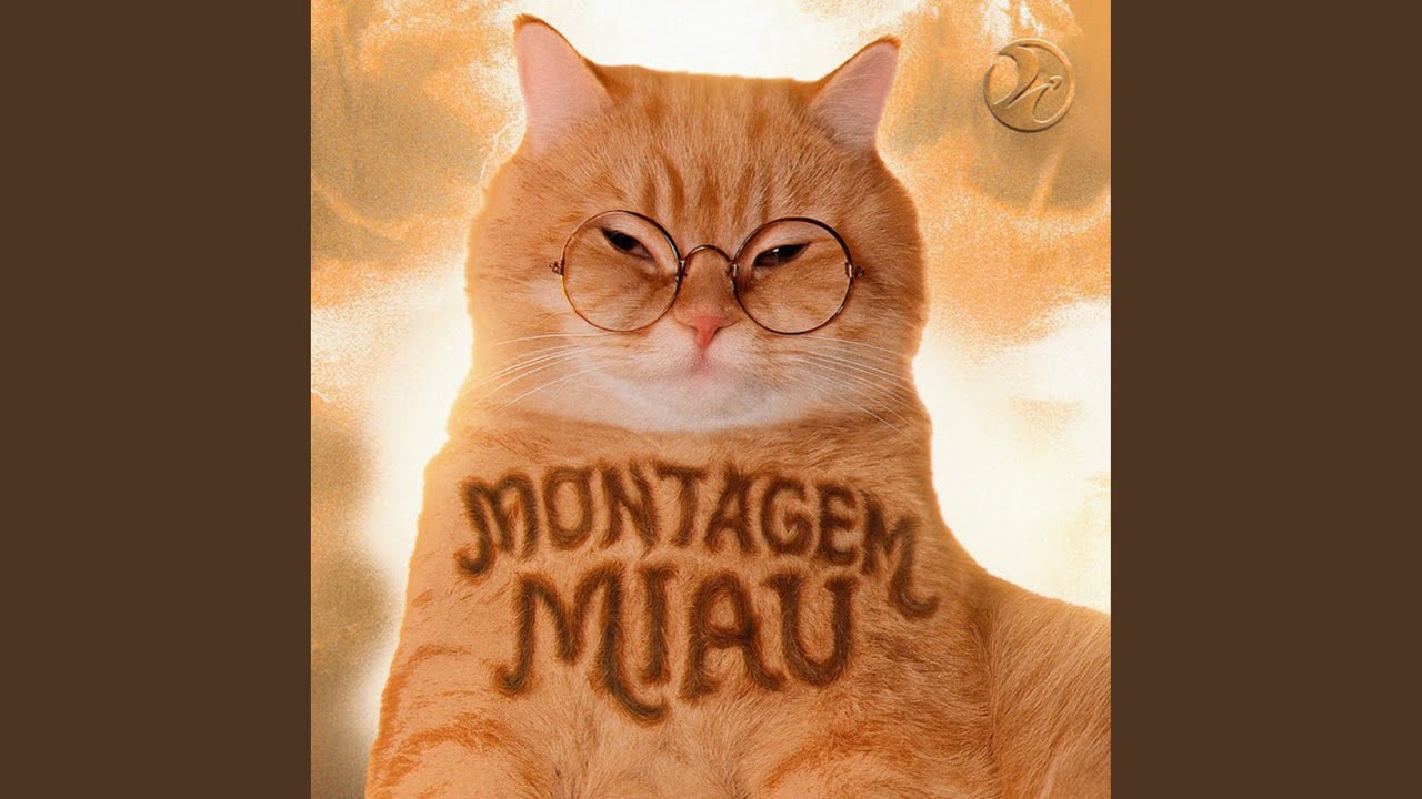 MONTAGEM MIAU (Ultra Slowed)