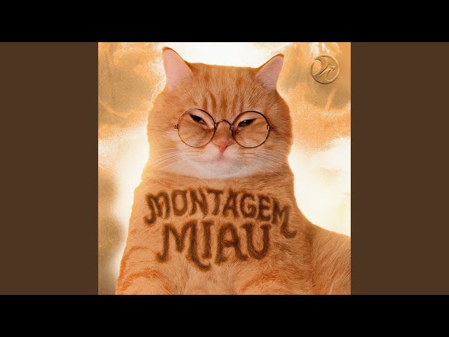 MONTAGEM MIAU (Ultra Slowed)