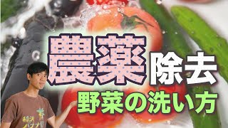 野菜についている農薬を取り除く洗い方５選とそれぞれのメリット・デメリット