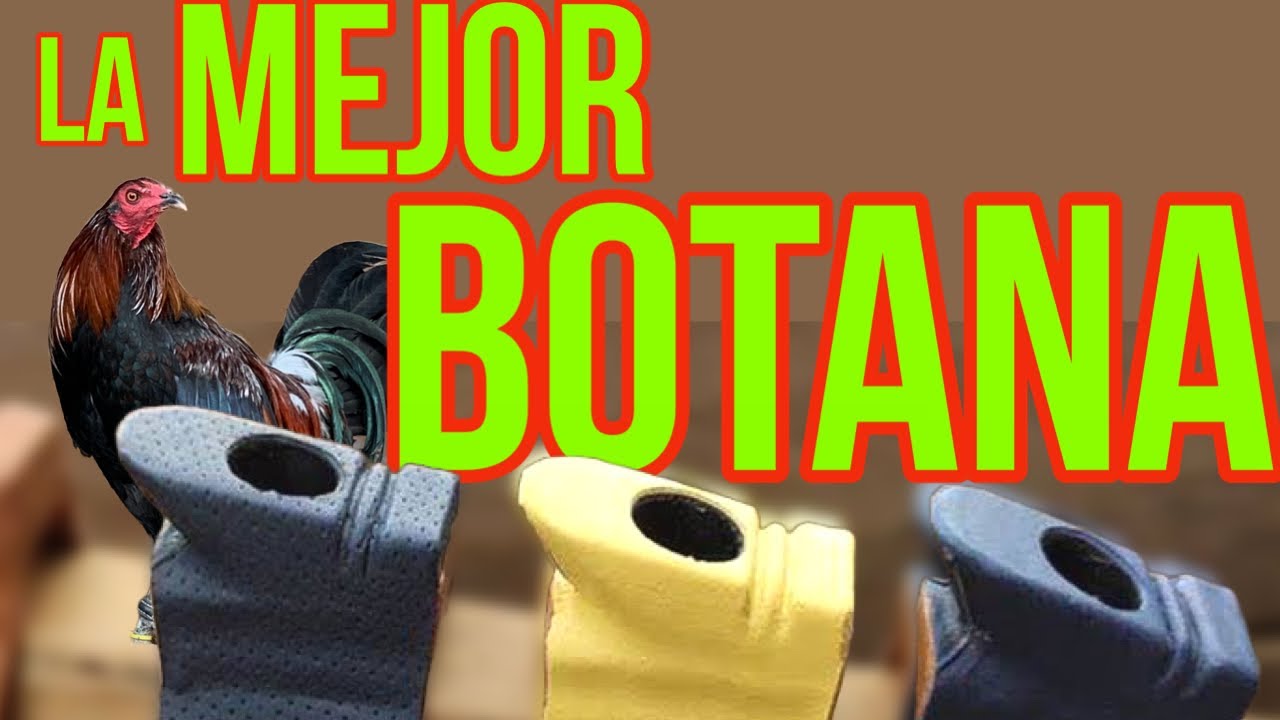 Botanas Medidas Y Diseños Youtube 