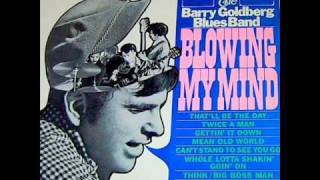 Barry Goldberg Blues Band - Blowing My Mind