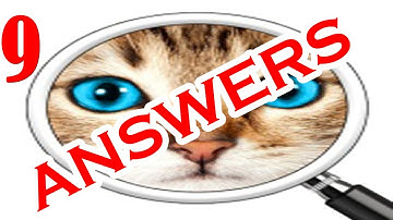 Guess the Pic! 2 ~ Photo Quiz Level 9 - All Answers - Walkthrough