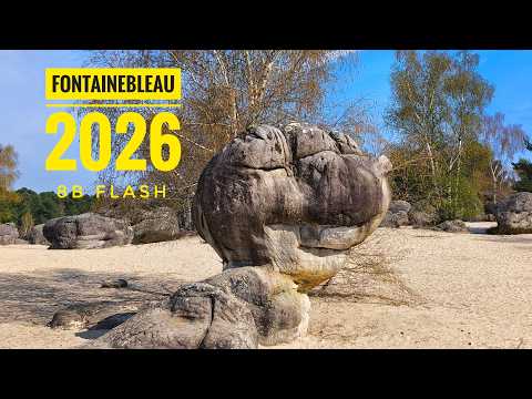 FONTAINEBLEAU 2026 - 8B FLASH !