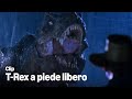IL T-REX SCAPPA DAL PADDOCK | Jurassic Park