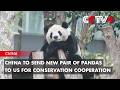 China to Send New Pair of Pandas to US for Conservation Cooperation