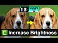 Bangla how to increase brightness or color correction in camtasia 9  aroundthealok