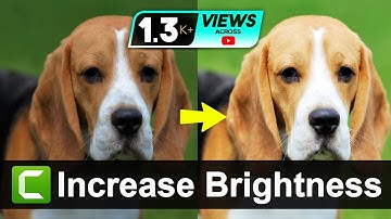 [Bangla] How to Increase Brightness or Color Correction in Camtasia 9 | Aroundthealok