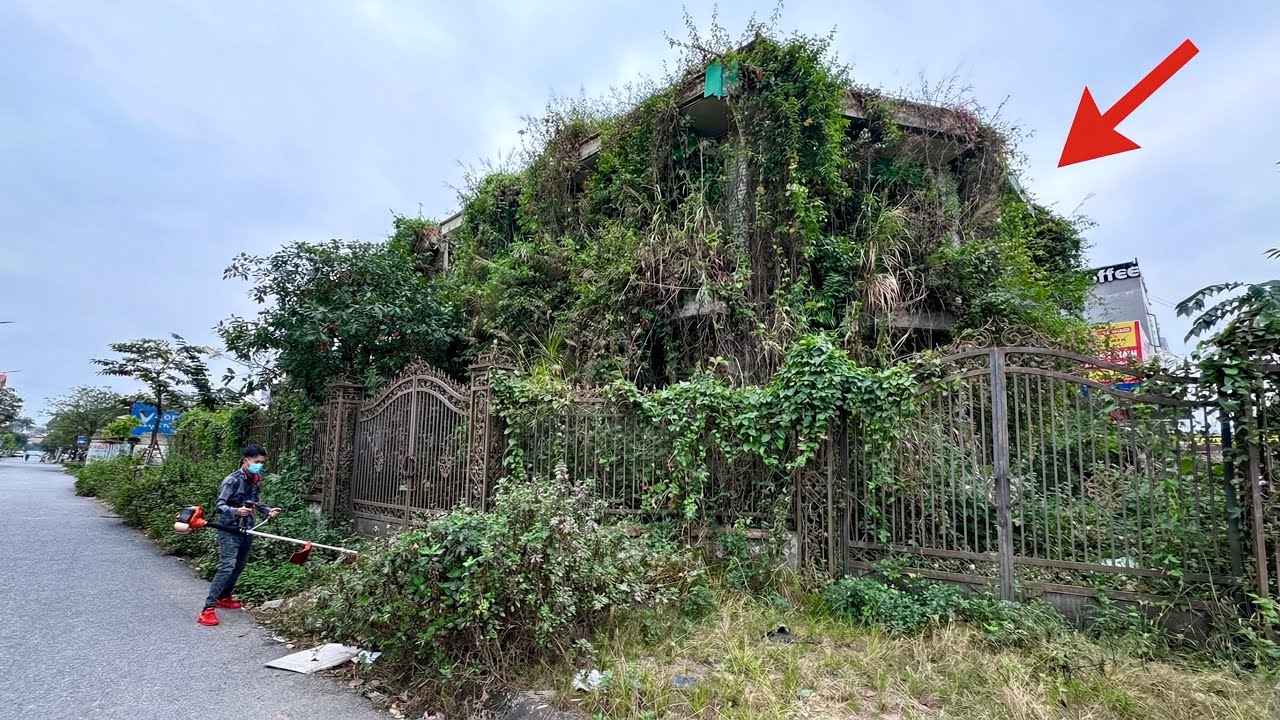 Overgrown house hidden behind the fence has revealed its secret | satisfying transformation