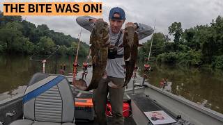 The Morning Bite was on Fire! (Flathead Catfish)