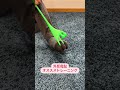外反母趾の方へ！#short #ショート #外反母趾