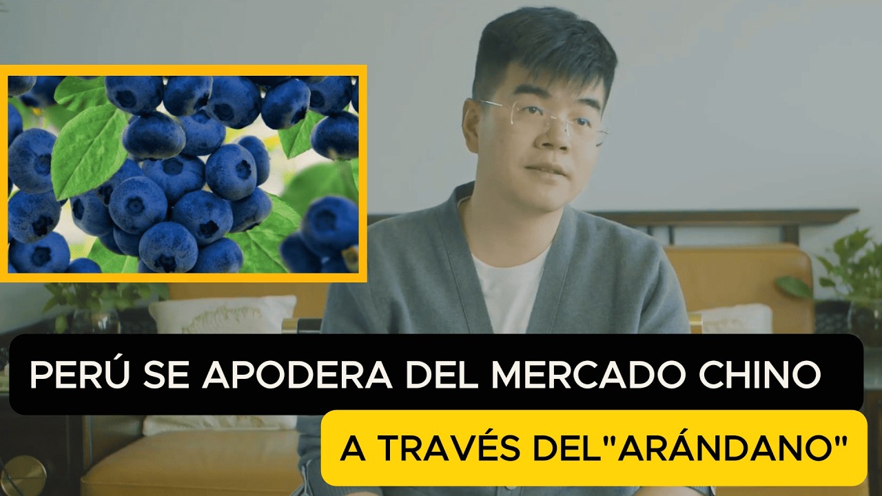 ARÁNDANO PERUANO ESTA DEJANDO SIN MERCADO A CHILE Y OTROS PAISES EN CHINA