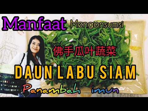 Cara Masak Daun Labu Siam Ala Taiwan
