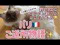 [フランス・パリ]のアパルトマンのご近所付き合い