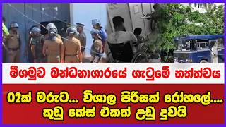 මීගමුව බන්ධනාගාරයේ ගැටුමේ අලුත්ම තත්ත්වය02ක් මරුට... විශාල පිරිසක් රෝහලේ.. කුඩු කේස් එකක් උඩු දුවයි