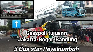 BUS NPM,ANS,MPM GASSSPOLL KE JAKARTA-BOGOR-BANDUNG,KESERUAN HUNT DI PAYAKUMBUH||Bismania