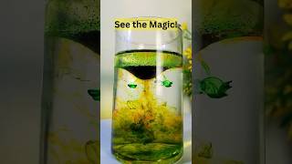 Colorful Rain in a Glass 🌈Amazing Density Experiment You Must Try #experiment #funscience