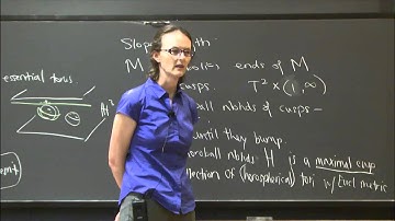 Geometry of planar surfaces and exceptional fillings - Jessica Purcell