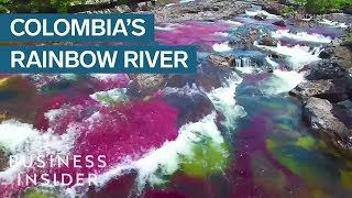 Rainbow River In Colombia Is The Most Beautiful In The World