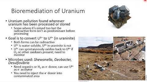 Ch 22 Microbiology of the Built Environment