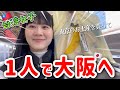 【万博中の大阪】台湾女子、1人で大阪へ!念願のアレを食べてきました♪