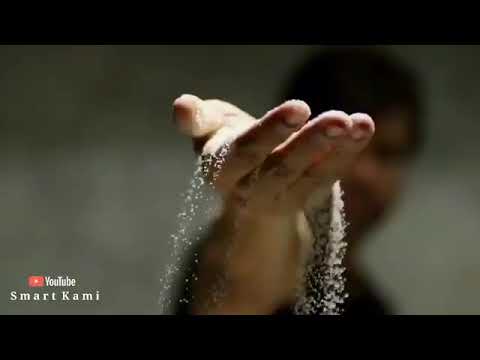 official new song 2121