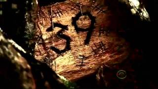 Survivor Intro Request 108