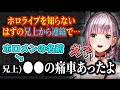 ホロライブを知らないはずの兄上から驚きの連絡がきたノエル団長【白銀ノエル/ホロライブ/切り抜き】