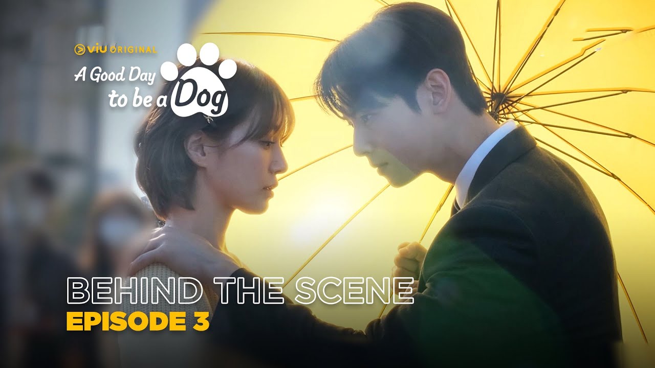 A Good Day To Be A Dog | Behind The Scene EP03 | Cha Eun Woo, Park Gyu Young, Lee Hyun Woo