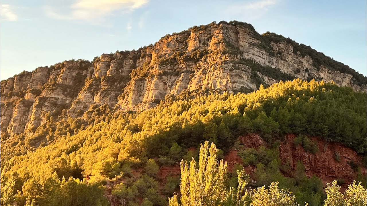 Franc 20/2/2026 🕺🕺🕺🕺🕺