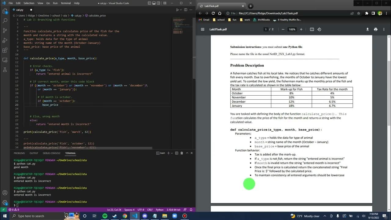 CS112 Lab 3 (Conditions and Functions) - YouTube
