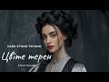 Цвіте терен як ви ще не чули Ukrainian Folk Remix 2026 Етно House 