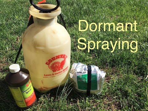 Backyard Apples Dormant Spray