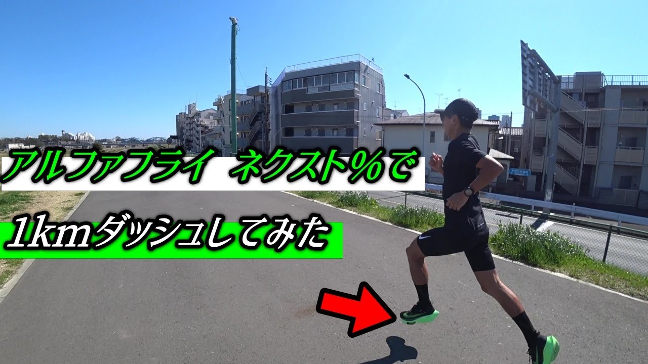 これが「アルファフライ ネクスト%」の力か!!