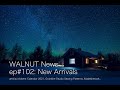 WALNUT 通信