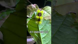 이거 약간 으스스한데요??