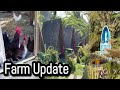 Farm update  anu na nangyari sa farm