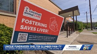 Volunteers to spend night at Cincinnati Animal CARE for unique fundraiser