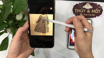 Thiết kế trang phục cho người béo - cô phan Thuỷ