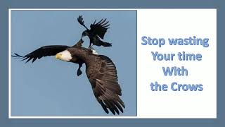Best Motivation | Stop wasting your time with the Crows | Concept Centre