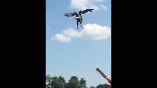 IMG 1608 MOV 1
