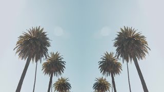 Palm Trees Background Stock Video screenshot 3
