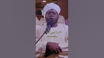 سورة السجدة الشيخ مسلم بخاري #سورة #السجدة #الشيخ #viral #reels #القرآن #الله #quran #قران #تلاوات