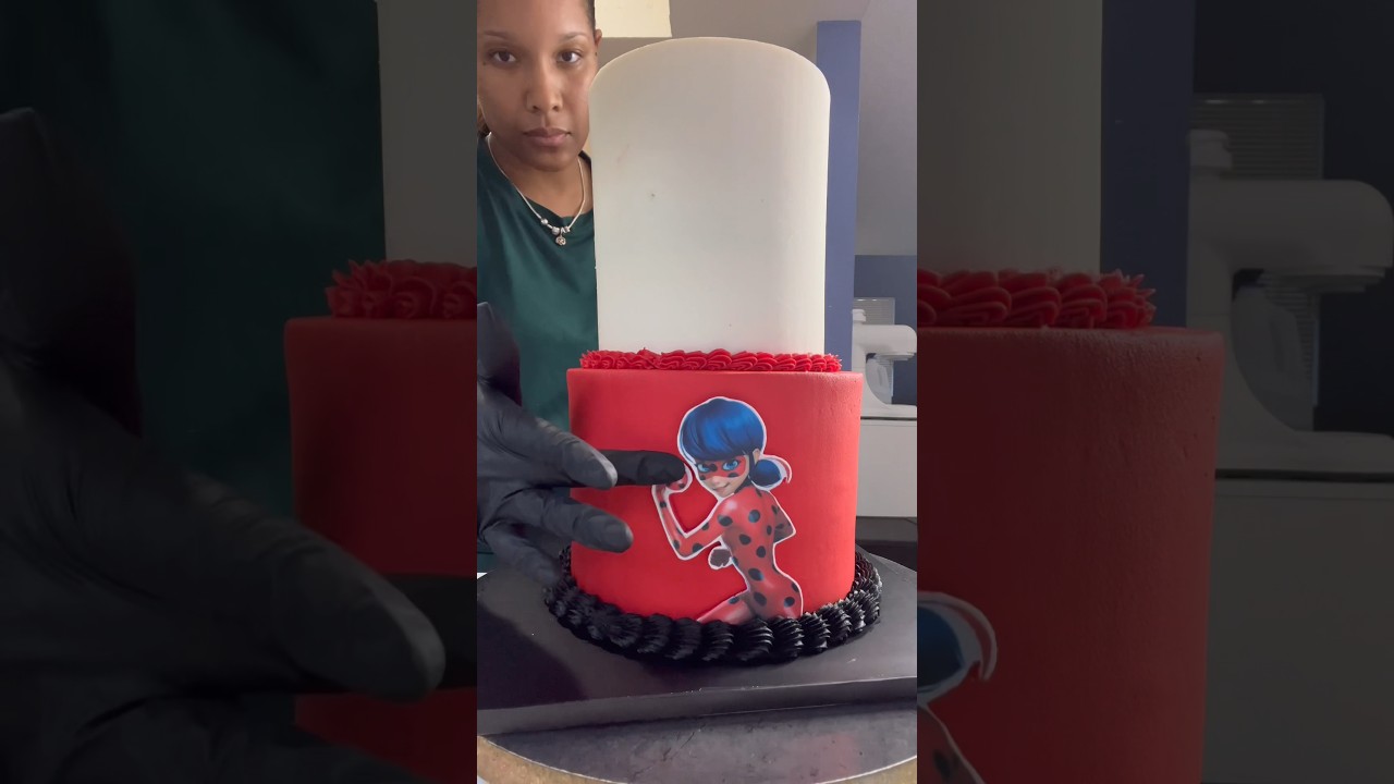 Чудесный торт с божьей коровкой на день рождения моей дочери! 